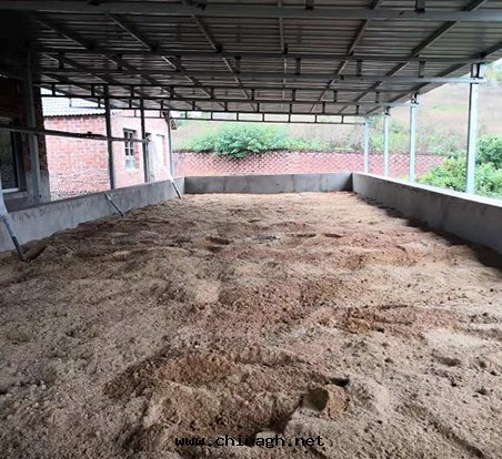 江西鄱陽高(gāo)盛牧業成(chéng)功運營